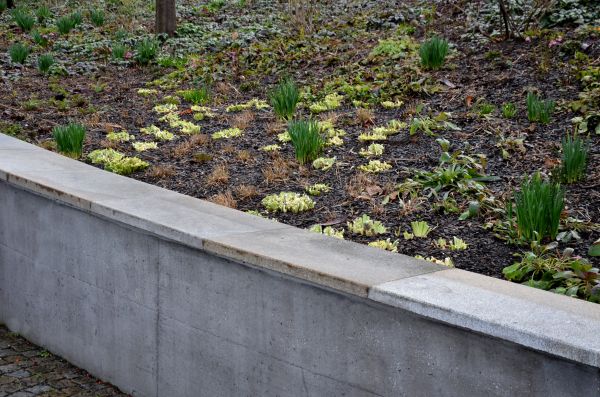 Concrete Wall Construction in Middletown