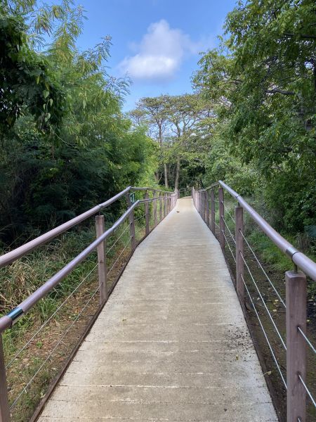 Footpath Construction in Middletown
