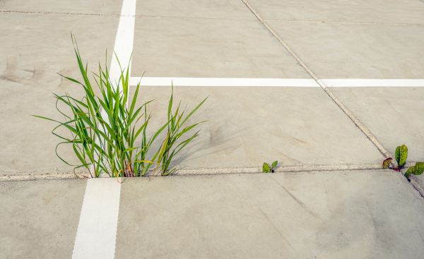 Concrete Parking Installation in Middletown